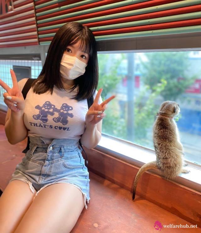 南京奶茶店盒子环迅官网！avc hevc